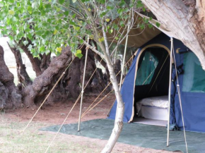 Отель Karoo Gariep Tented Camp  Гановер Роад